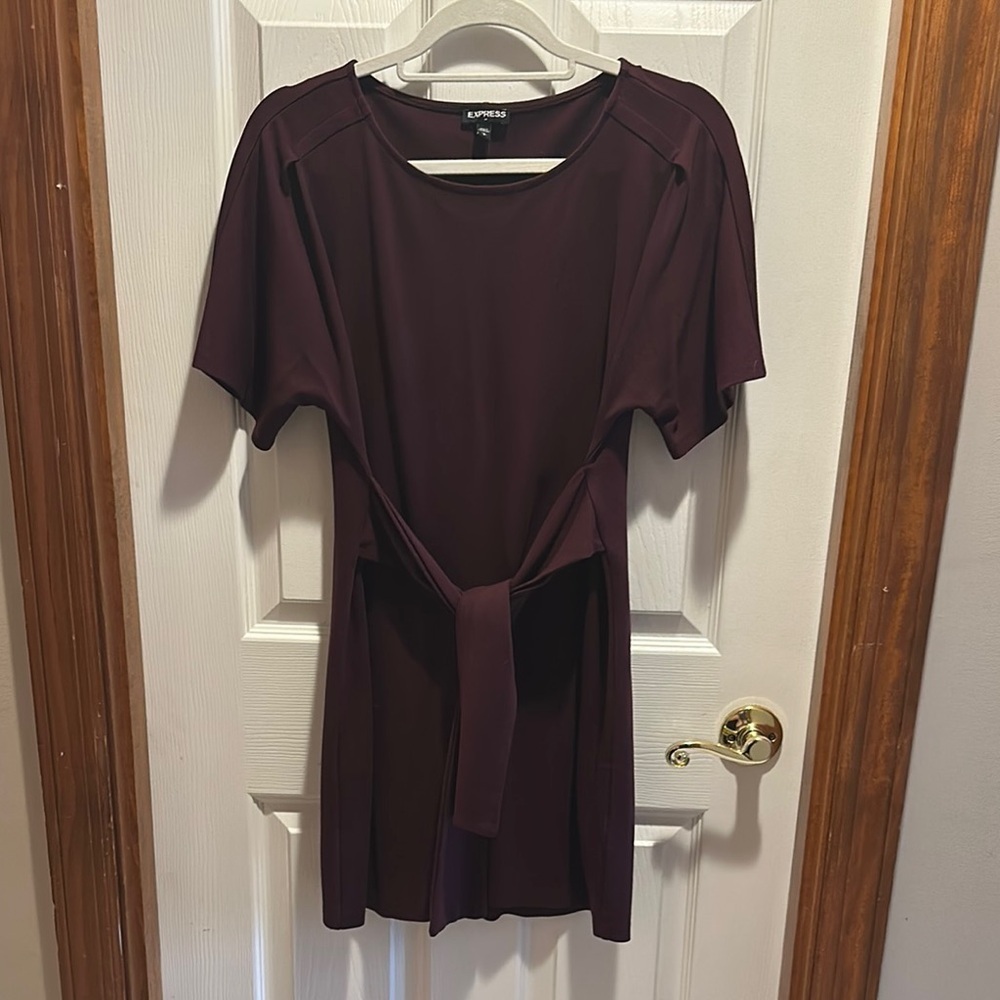 Express Red Mini Tie Front Dress